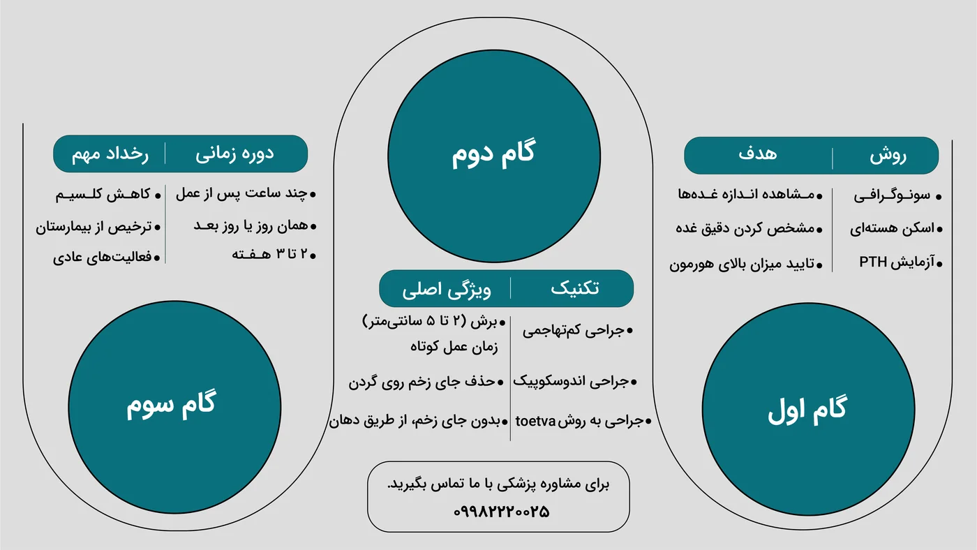 اینفوگرافیک جراحی پاراتیروئید