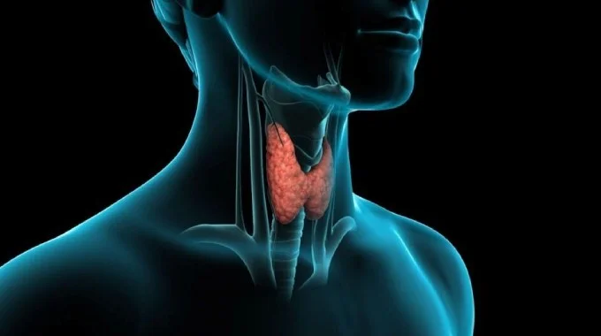 جراحی تیروئید چیست و چگونه انجام می‌شود؟