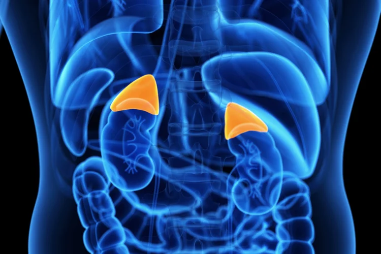 adrenal-diseases
